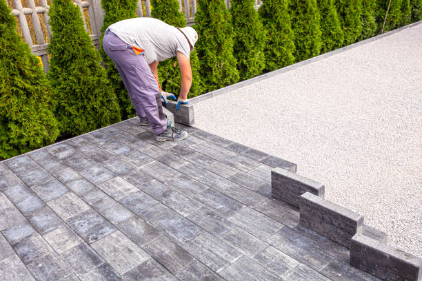 Best Driveway Paving Contractor  in Ware Shoals, SC
